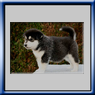 Cliquer sur l'image