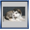 Cliquer sur l'image