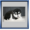 Cliquer sur l'image