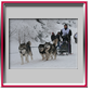 Val�rie avec Hunter, D�mon et Diablesse - Alpe du grand serre 2010