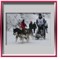 Laurent avec Amarok et Ikouma - Alpe du grand serre 2010