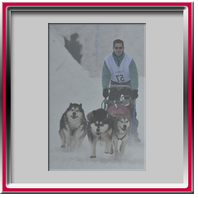 Damien avec Vintuka, Ka�la et Orion - Alpe du grand serre 2010