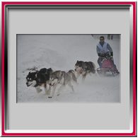 Damien avec Vintuka, Ka�la et Orion - Alpe du grand serre 2010