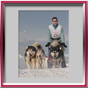 Damien avec Orion, Vintuka et Ka�la - M�daille de bronze � Meaudre 2010