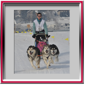 Damien avec Orion, Vintuka et Ka�la - M�daille de bronze � Meaudre 2010