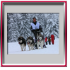 Val�rie avec Hunter, D�mon et Diablesse - Plateau de Retord 2010