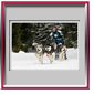 Val�rie qui termine 2�me avec la RCACT pour Diablesse, D�mon et Hunter - Lac Blanc 2010