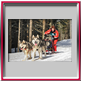 Camille avec Cheyenne et Baltik - Lac Blanc 2010