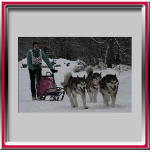 Damien avec Orion, Vintuka et Lady - les Contamines 2007
