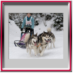 Damien avec Orion, Vintuka et Lady - les Contamines 2007