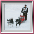 Denis avec Taro et Valmy - Alpe du grand serre 2006