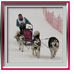 Damien avec Vintuka, Orion et Lady - Lac Blanc 2006