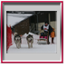 Thierry avec Viva-Wody et Bagheera - Lac Blanc 2006