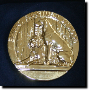 M�daille d'or de la SCC d�cern� � Damien et aux chiens pour le CACT qu'ils ont obtenu au Championnat AMCF - Plateau de Retord 2010